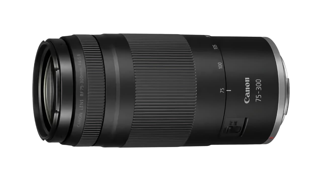 スポーツ観戦や旅行/Canon EF 75-300㎜F4-5.6 望遠レンズ/スポーツ観戦/Canon EF 75-300㎜ F4-5.6 II